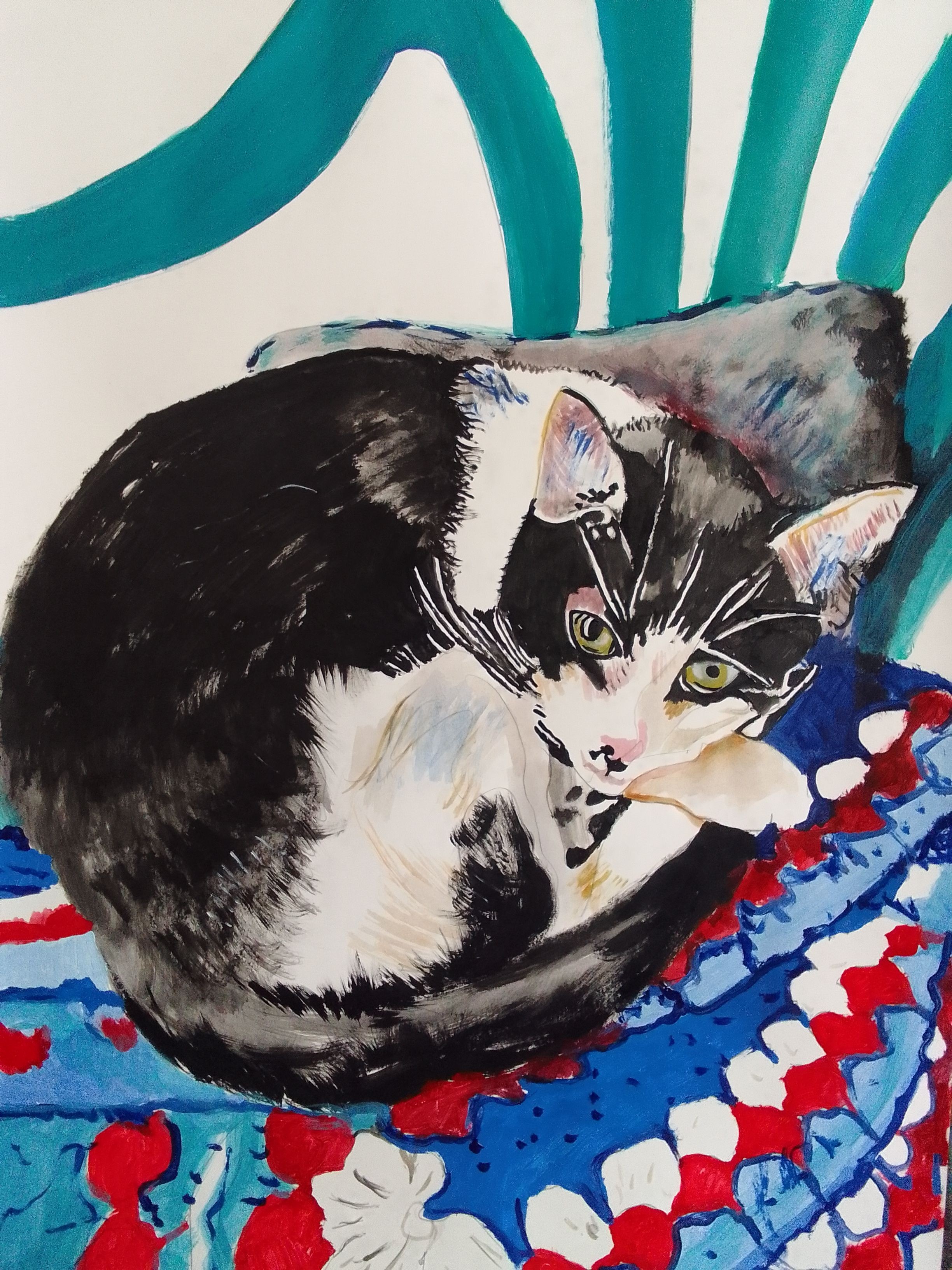 Soso Kumsiashvili, Cat Soso Kumsiashvili, Cat