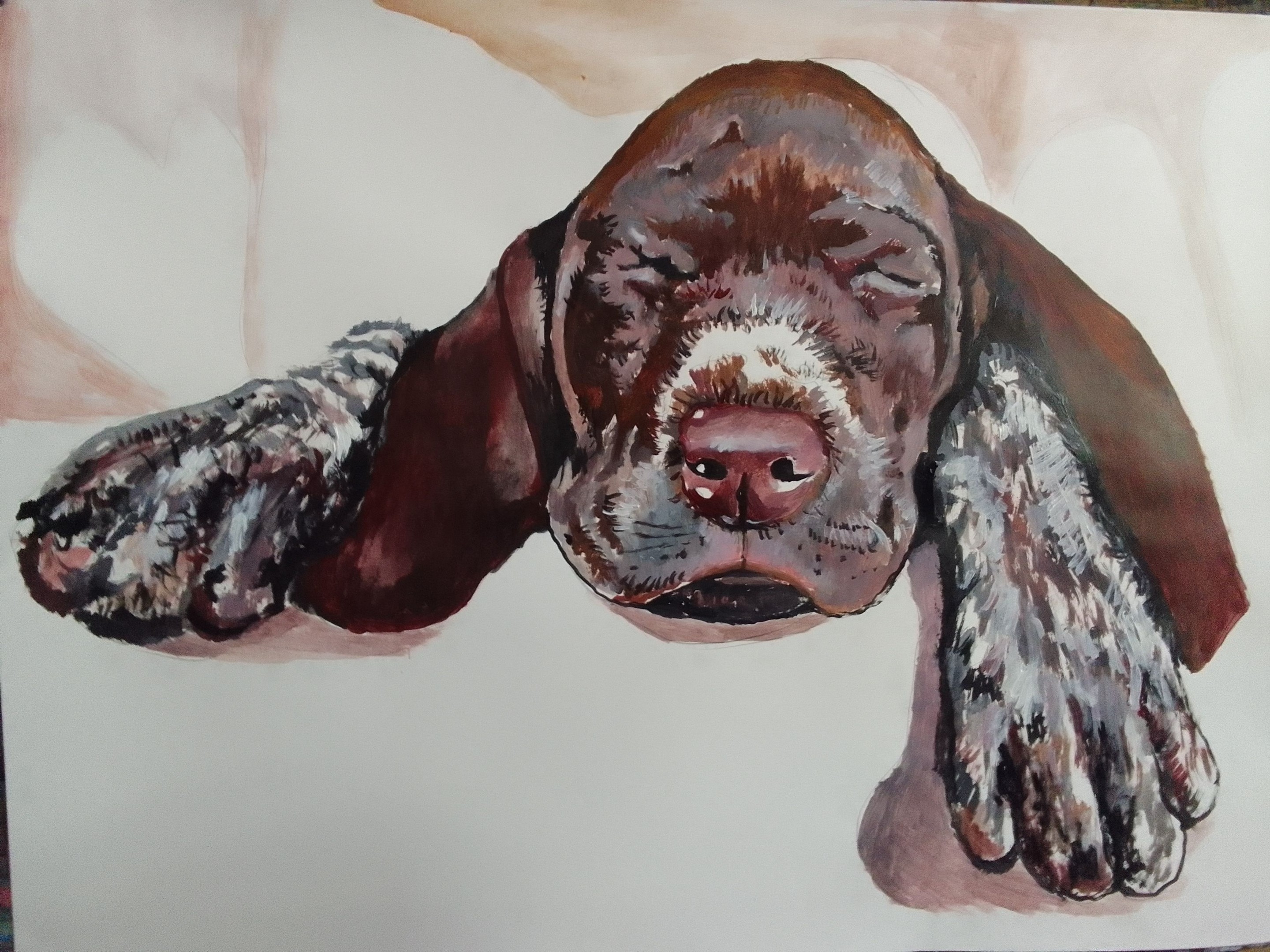 Soso Kumsiashvili, Puppy Soso Kumsiashvili, Puppy