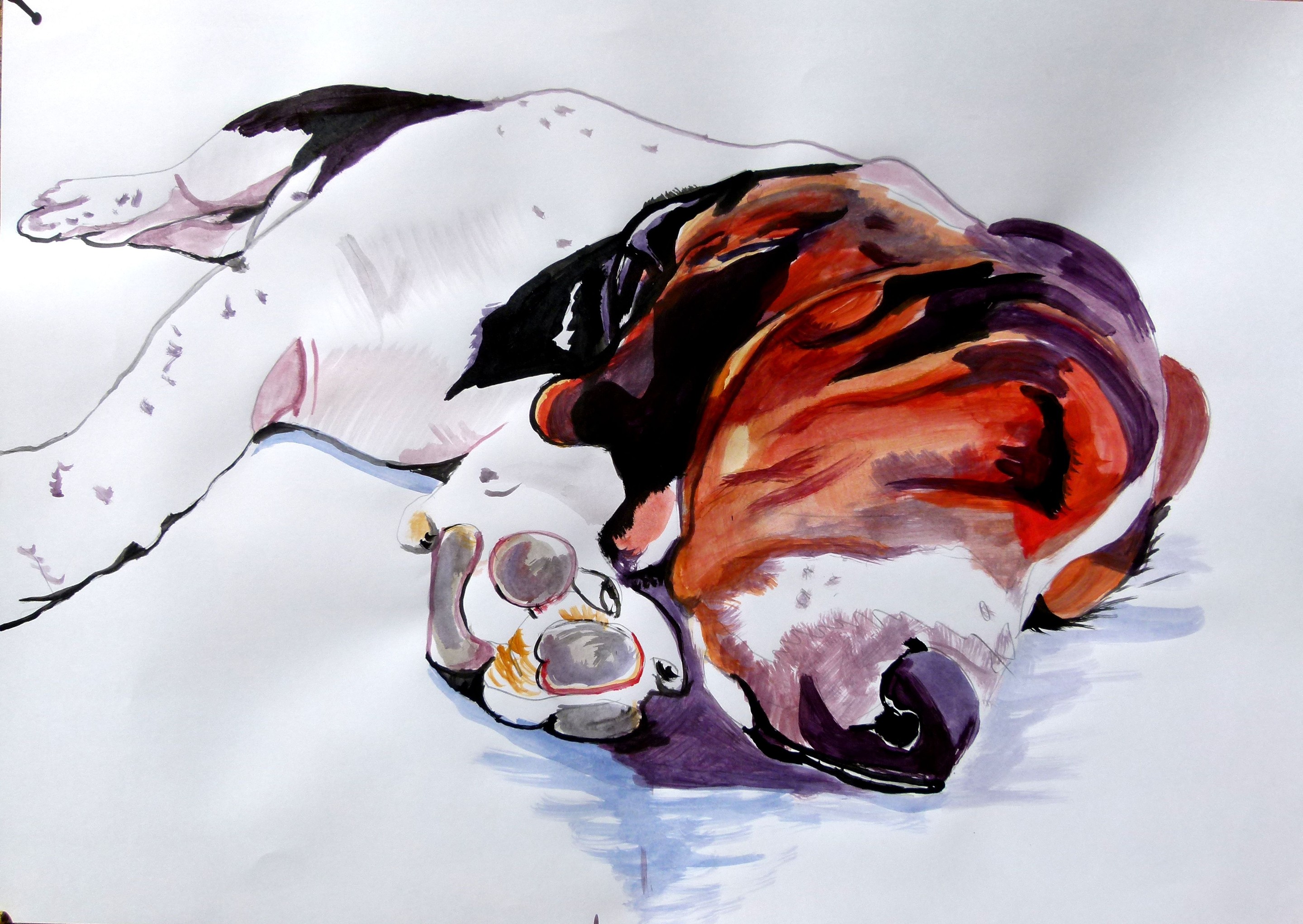 Soso Kumsiashvili, Basset hound Soso Kumsiashvili, Basset hound