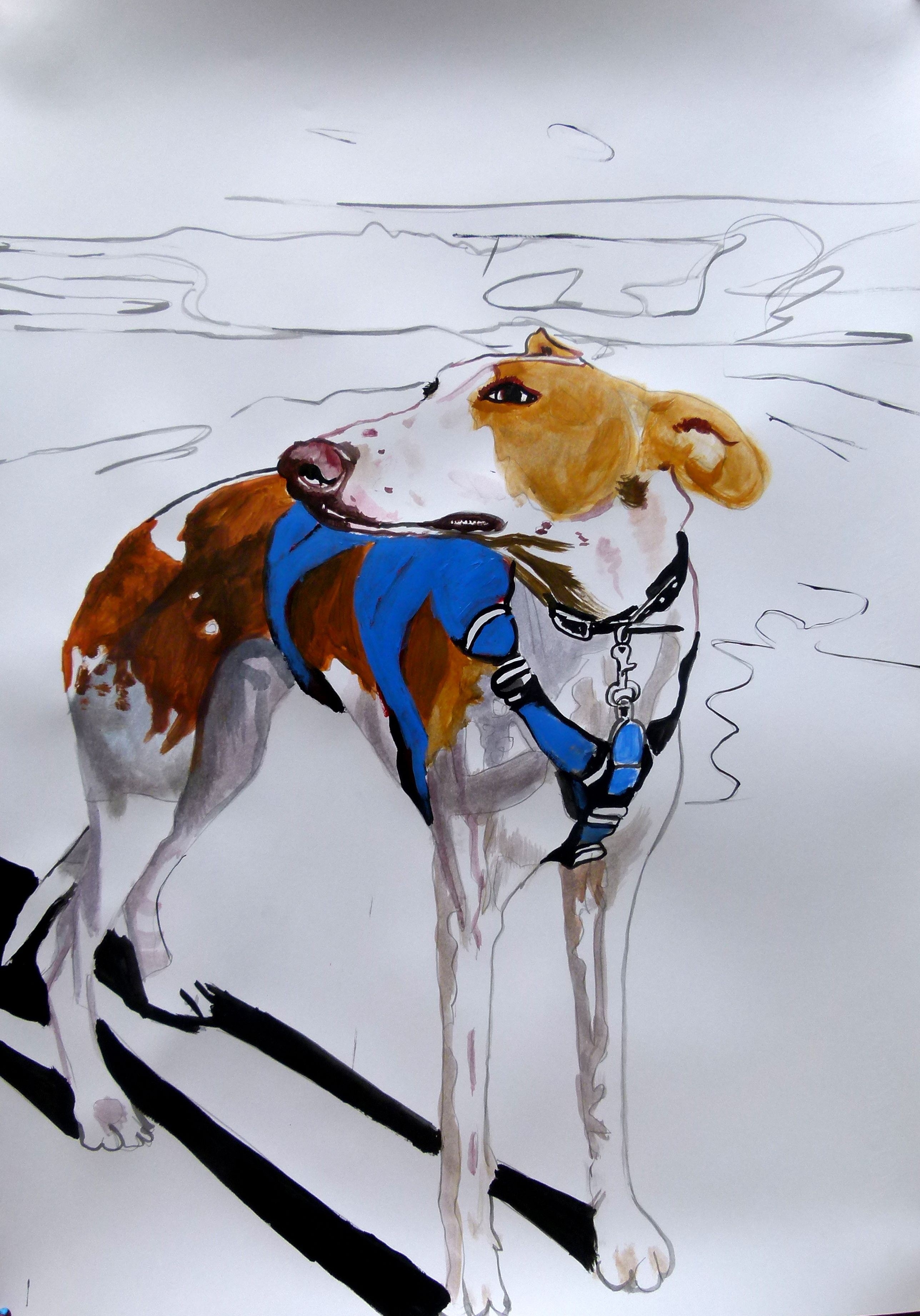Soso Kumsiashvili, Dog Soso Kumsiashvili, Dog