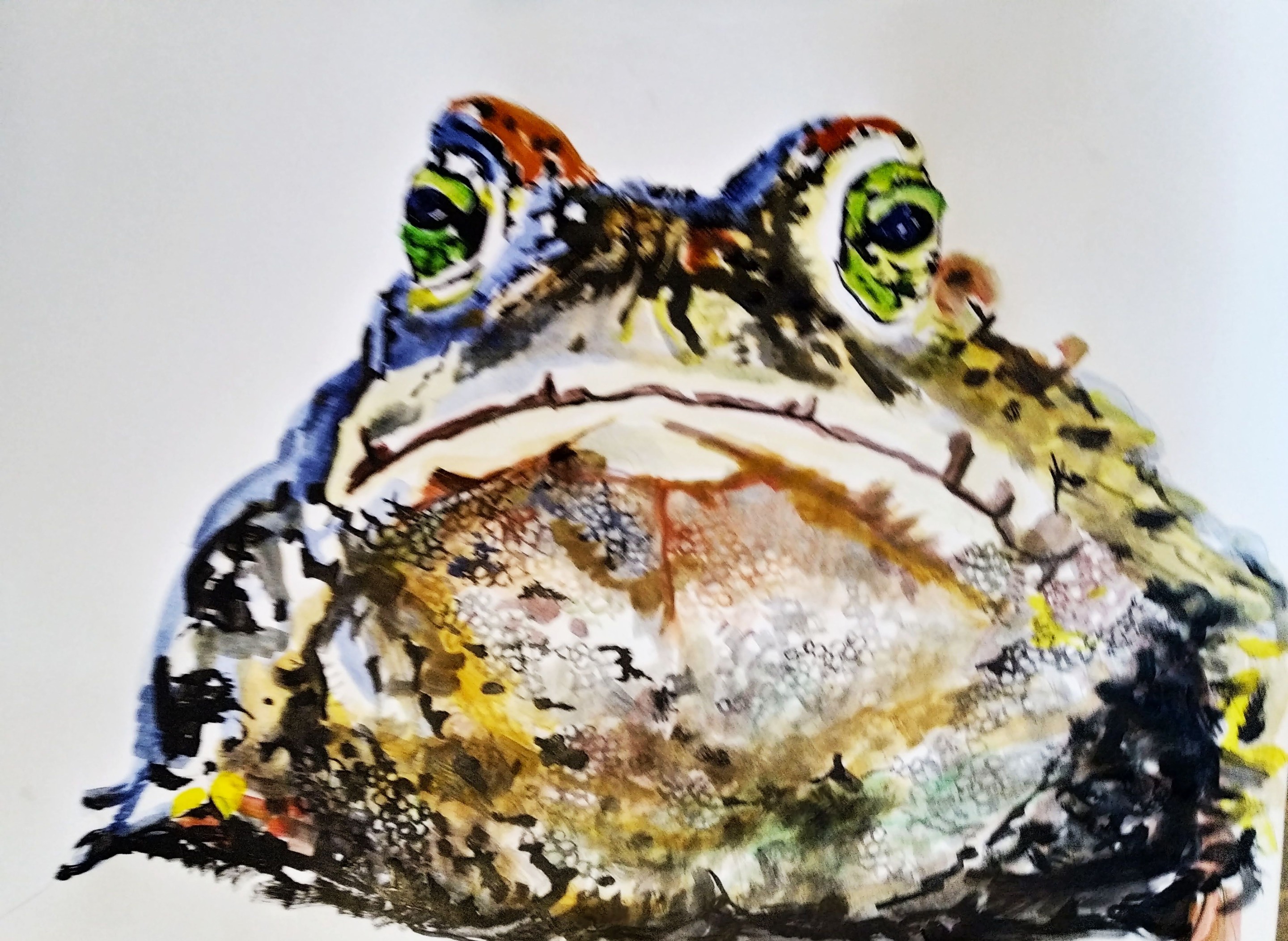 Soso Kumsiashvili, Frog, Soso Kumsiashvili, Frog,