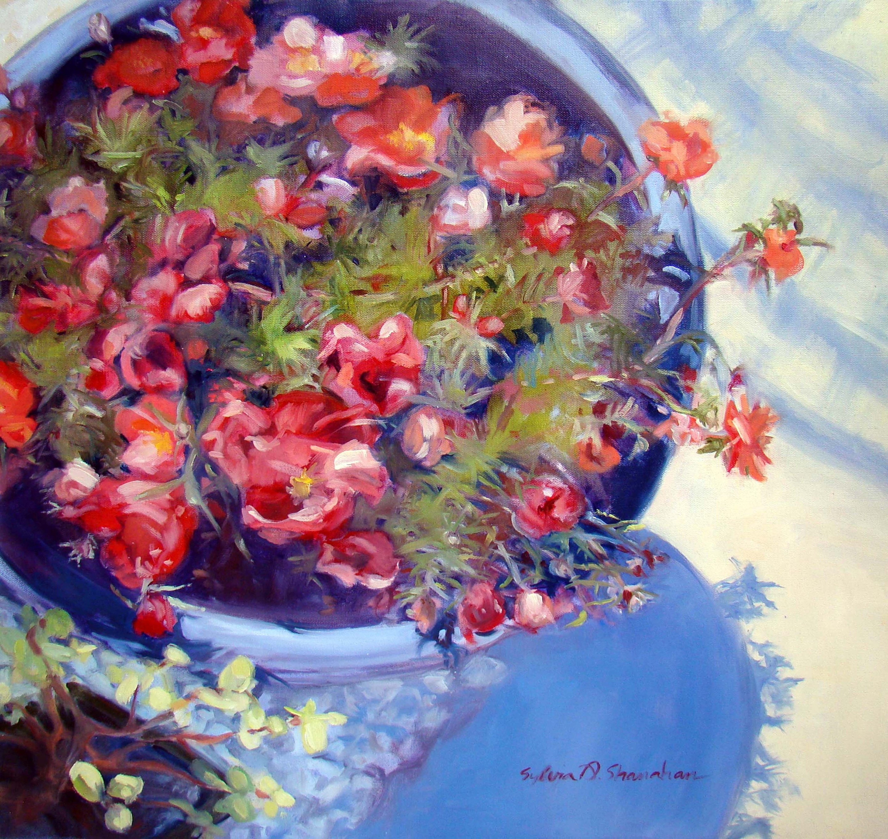 Sylvia Shanahan, Portulaca on the Pool Deck Sylvia Shanahan, Portulaca on the Pool Deck