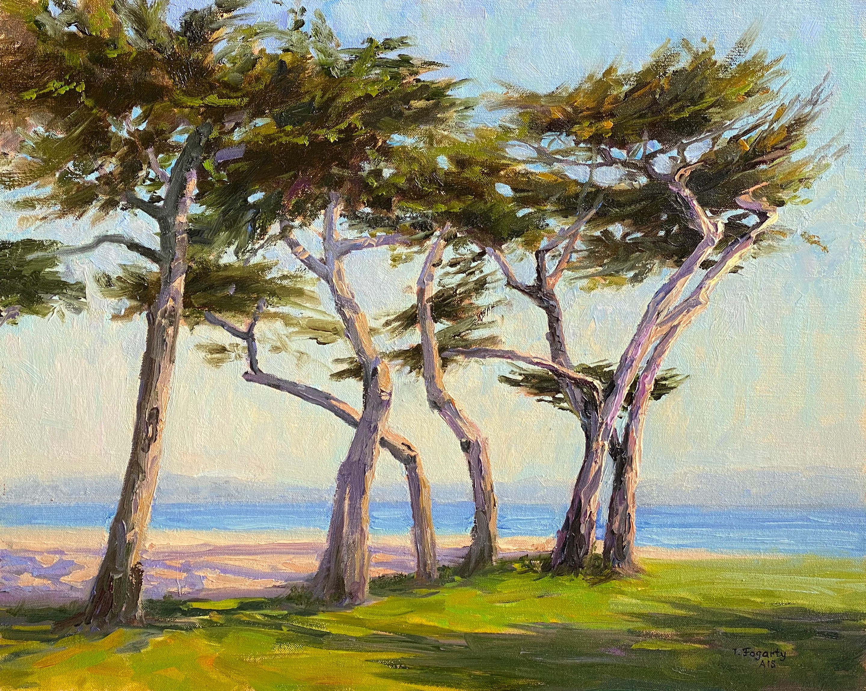Tatyana Fogarty, Coastal Cypress Swing Tatyana Fogarty, Coastal Cypress Swing