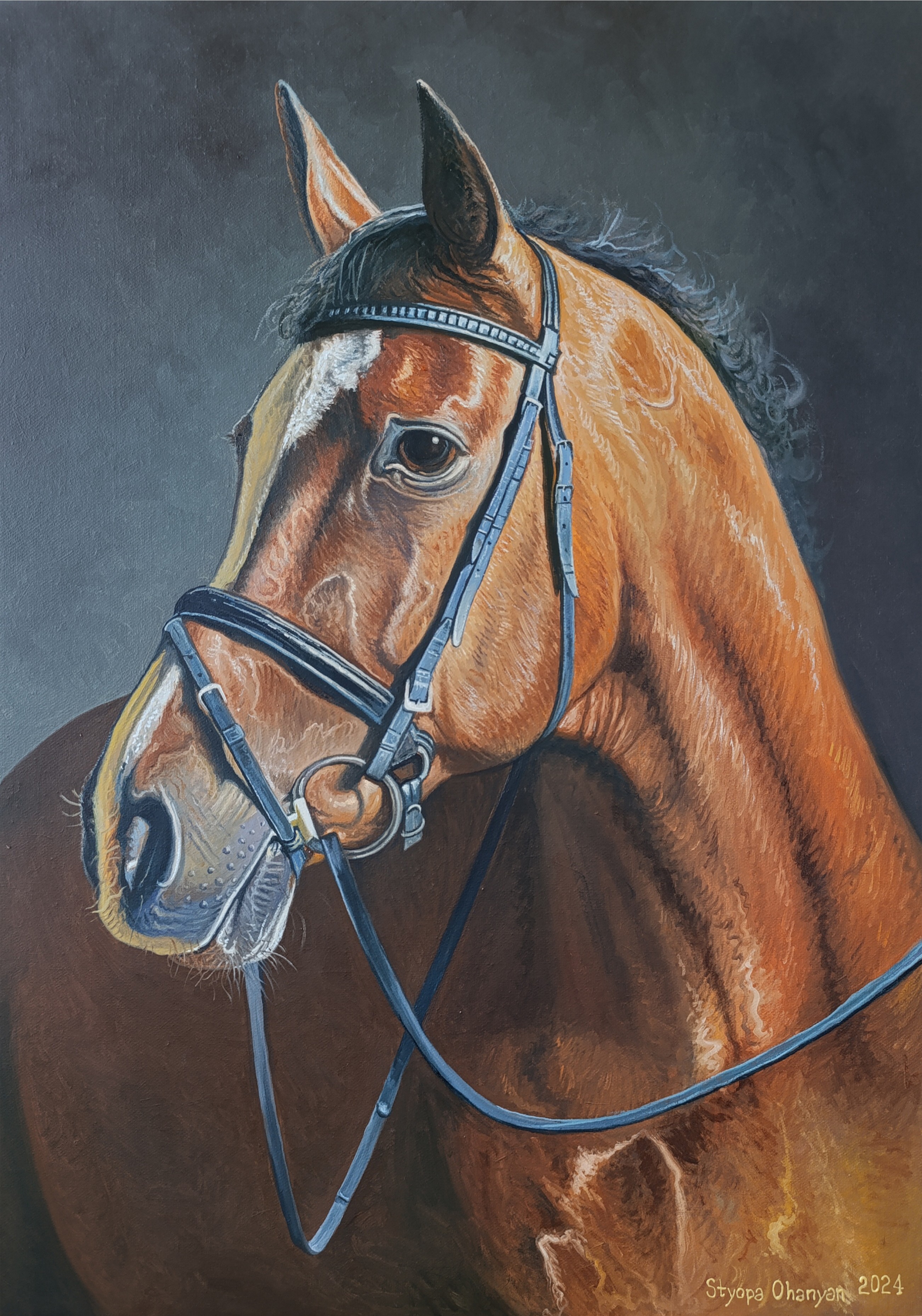 Stepan Ohanyan, Noble Steed Stepan Ohanyan, Noble Steed