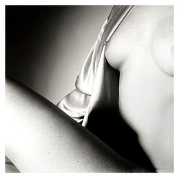 Photography, Skin and Silk, D-A Woisard