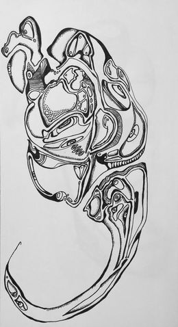 Fine Art Drawings, Untitled ink, Kaci Shields