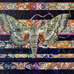 Pittura, Carpet Moth 2, Mary Lottridge