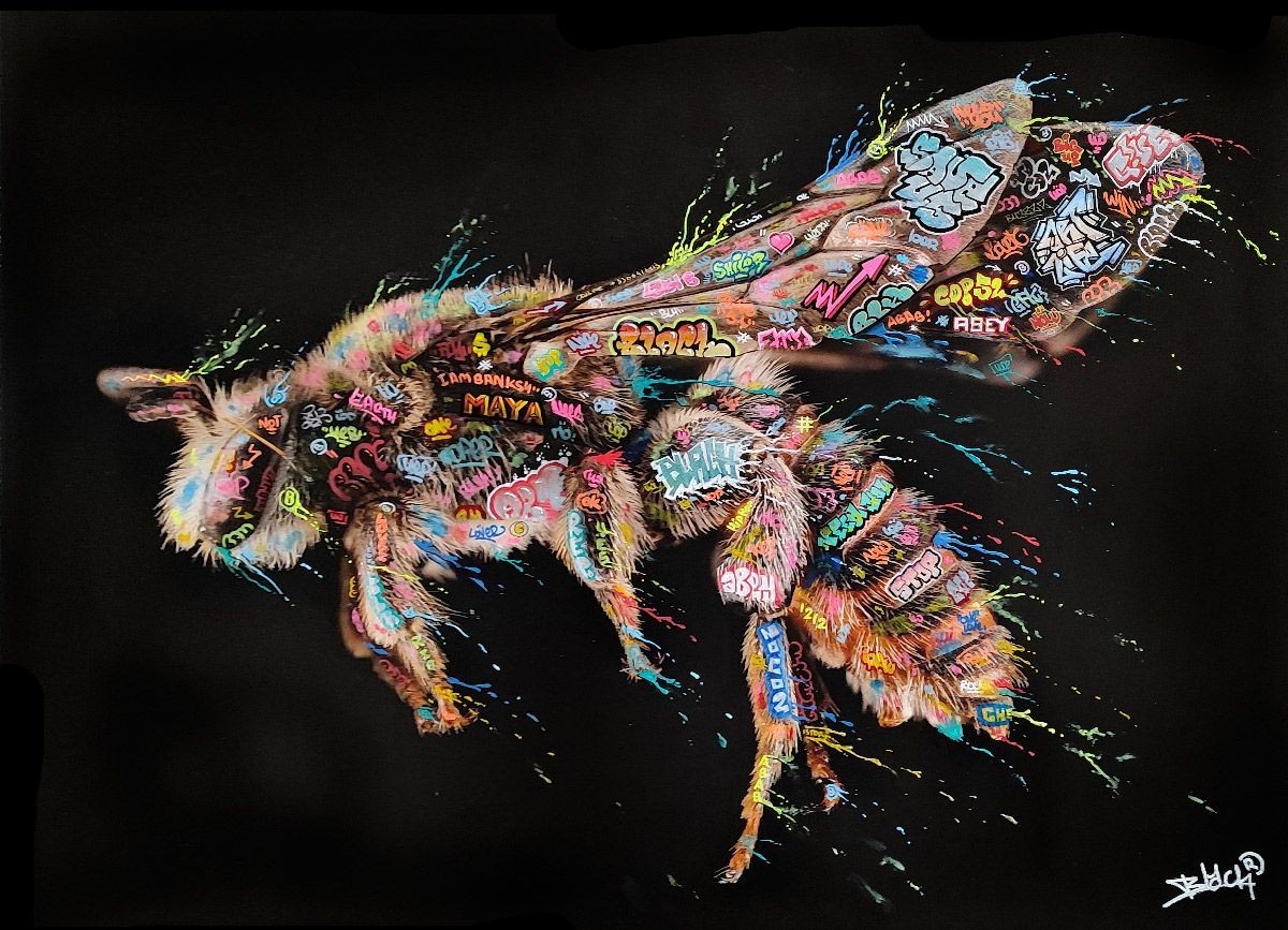 Maxime Blachère, Abeille Maxime Blachère, Abeille