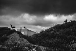 Fotografien, Les chaises vides, Philippe Grincourt