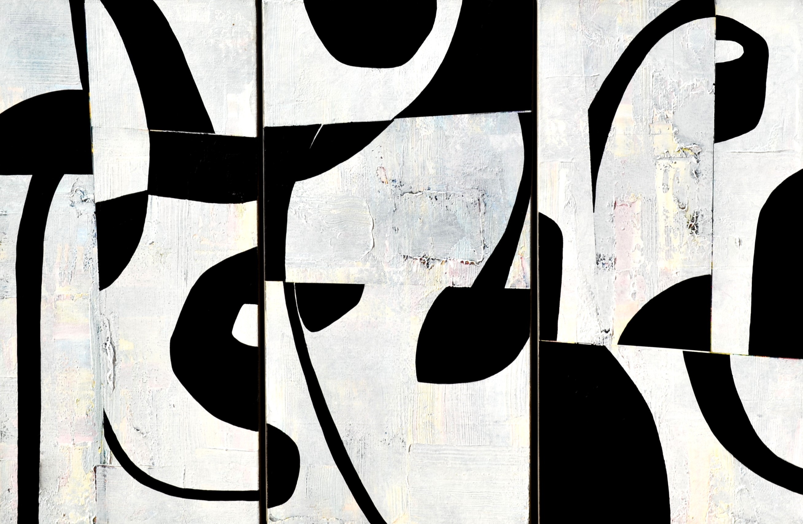 Sophie Duplain, Le Blanc et le Noir Sophie Duplain, Le Blanc et le Noir