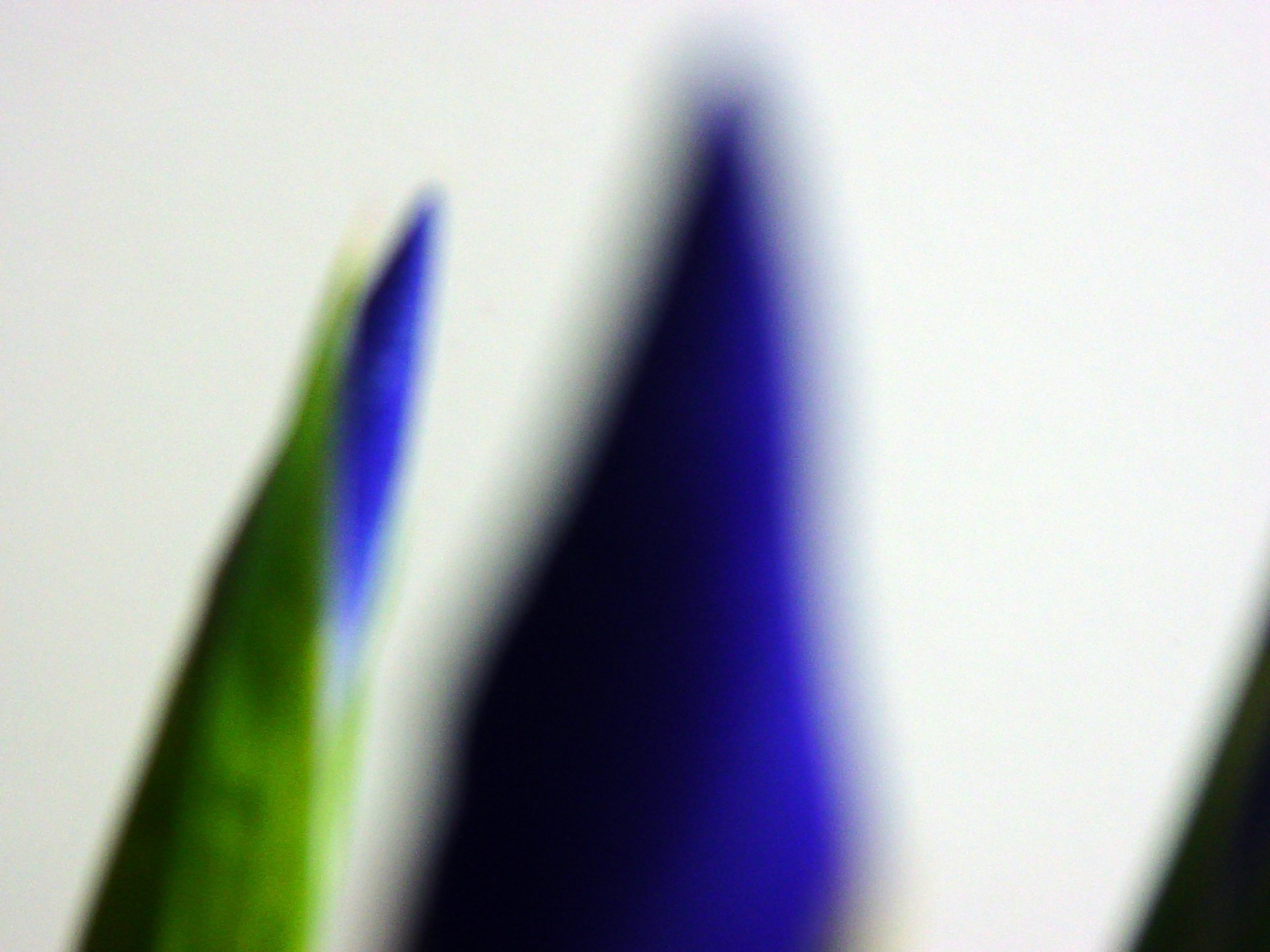 Imanol Marrodán, Iris ultramarine (Identity Dreams Series) Imanol Marrodán, Iris ultramarine (Identity Dreams Series)