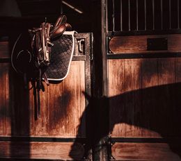 Photographie, The Stables, Golden Hour, Amrita Bilimoria