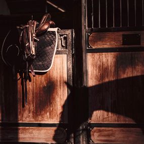 Fotografien, The Stables, Golden Hour, Amrita Bilimoria