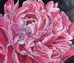 Peinture, Burgundy Rose, Olga Volna