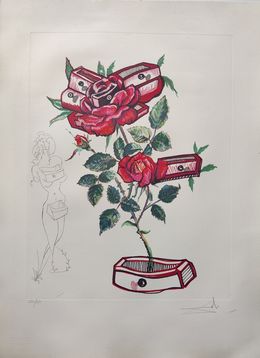 Print, Rose + Drawers from Surrealist Flowers, Florals, Salvador Dali