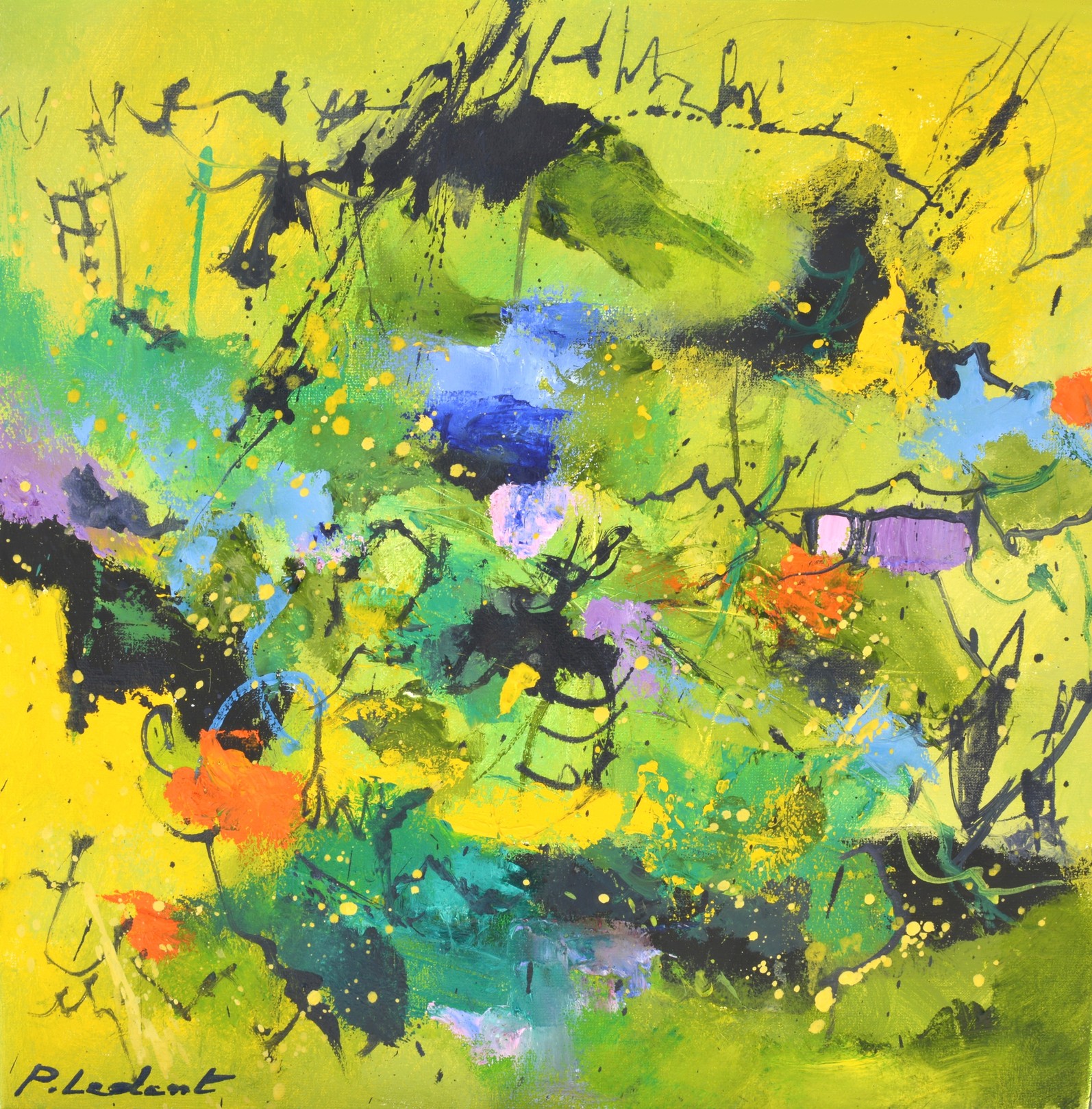 Pol Ledent, Tropical waters Pol Ledent, Tropical waters