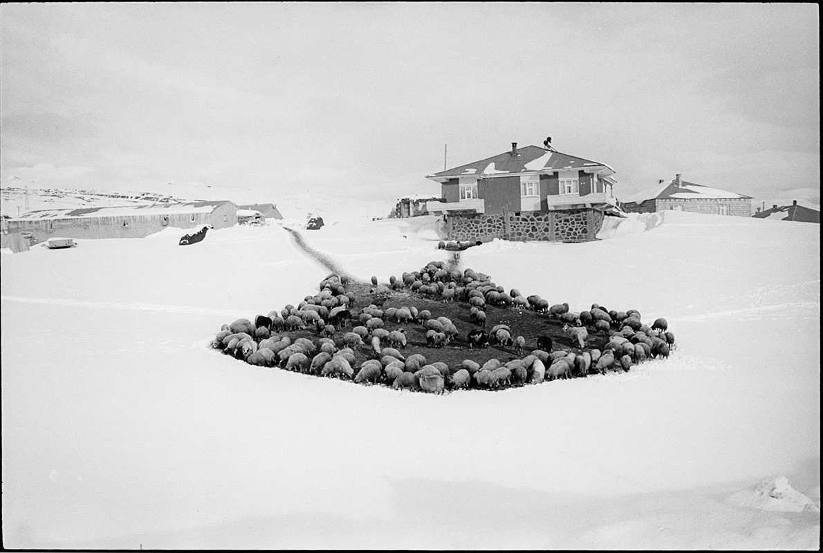 Matthieu Chazal, Aux environs d’Ardahan Matthieu Chazal, Aux environs d’Ardahan