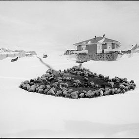 Photographie, Aux environs d’Ardahan, Matthieu Chazal