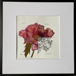 Fine Art Drawings, 4 flowers, Iryna Antoniuk