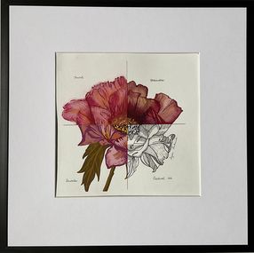 Fine Art Drawings, 4 flowers, Iryna Antoniuk