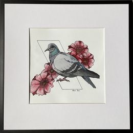 Fine Art Drawings, Pigeon, Iryna Antoniuk