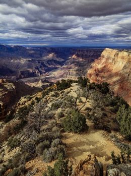 Photography, Lush Canyon Perspective, Jarmila Kostliva