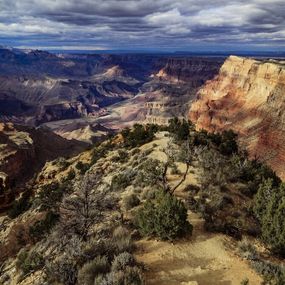 Photographie, Lush Canyon Perspective, Jarmila Kostliva