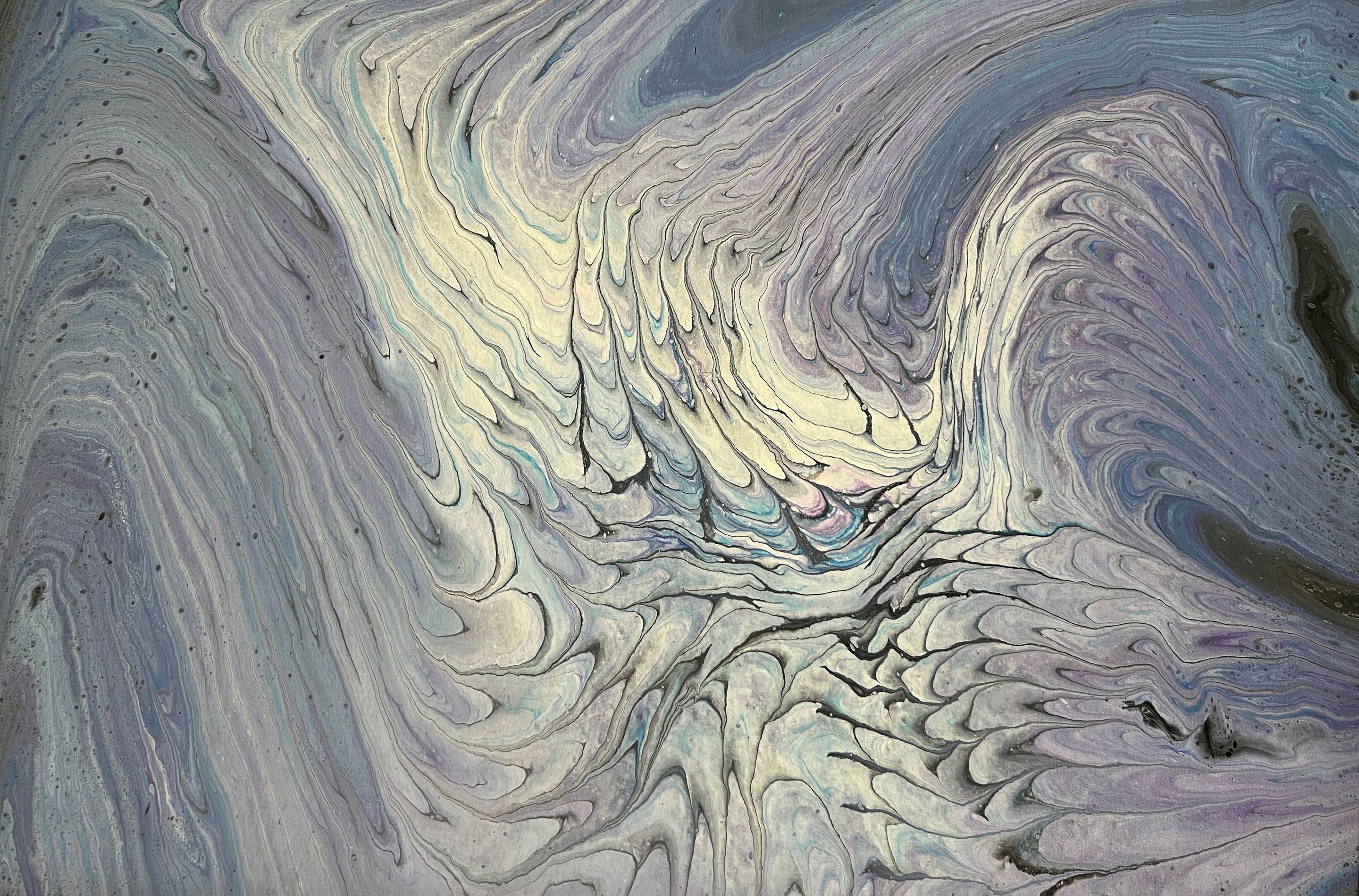 Monica Tangen, Blue Swan Monica Tangen, Blue Swan