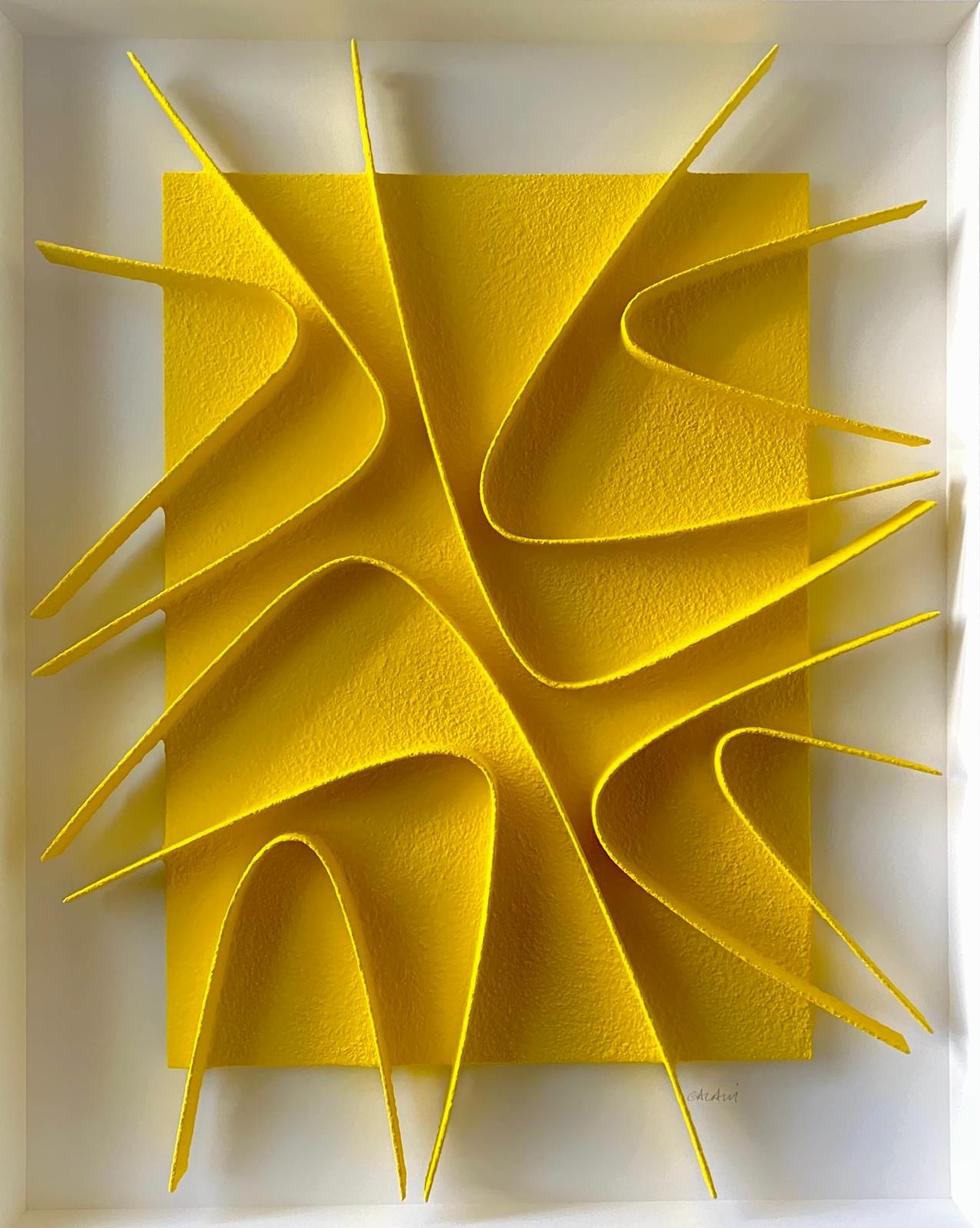 René Galassi, Calicots et pigments jaunes René Galassi, Calicots et pigments jaunes