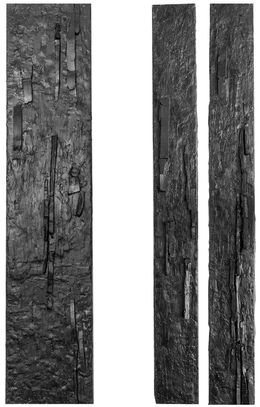 Scultura, Bark and Reliefes, Wall Sculpture, Carla Gimbatti