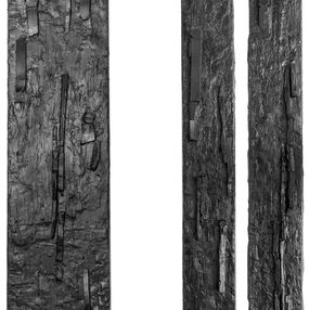 Escultura, Bark and Reliefes, Wall Sculpture, Carla Gimbatti