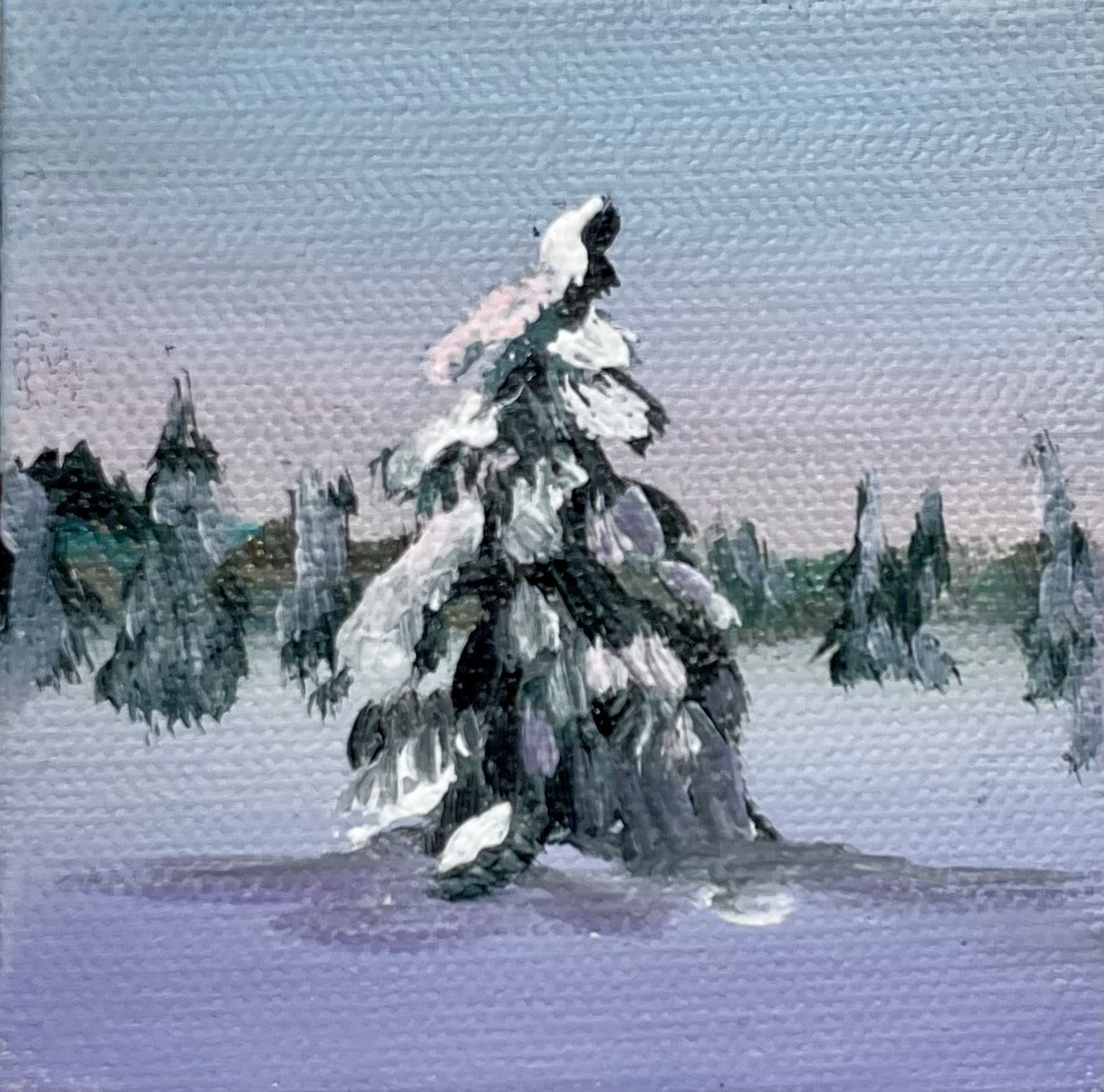 Nora Ampova, Shishkin's winter Nora Ampova, Shishkin's winter