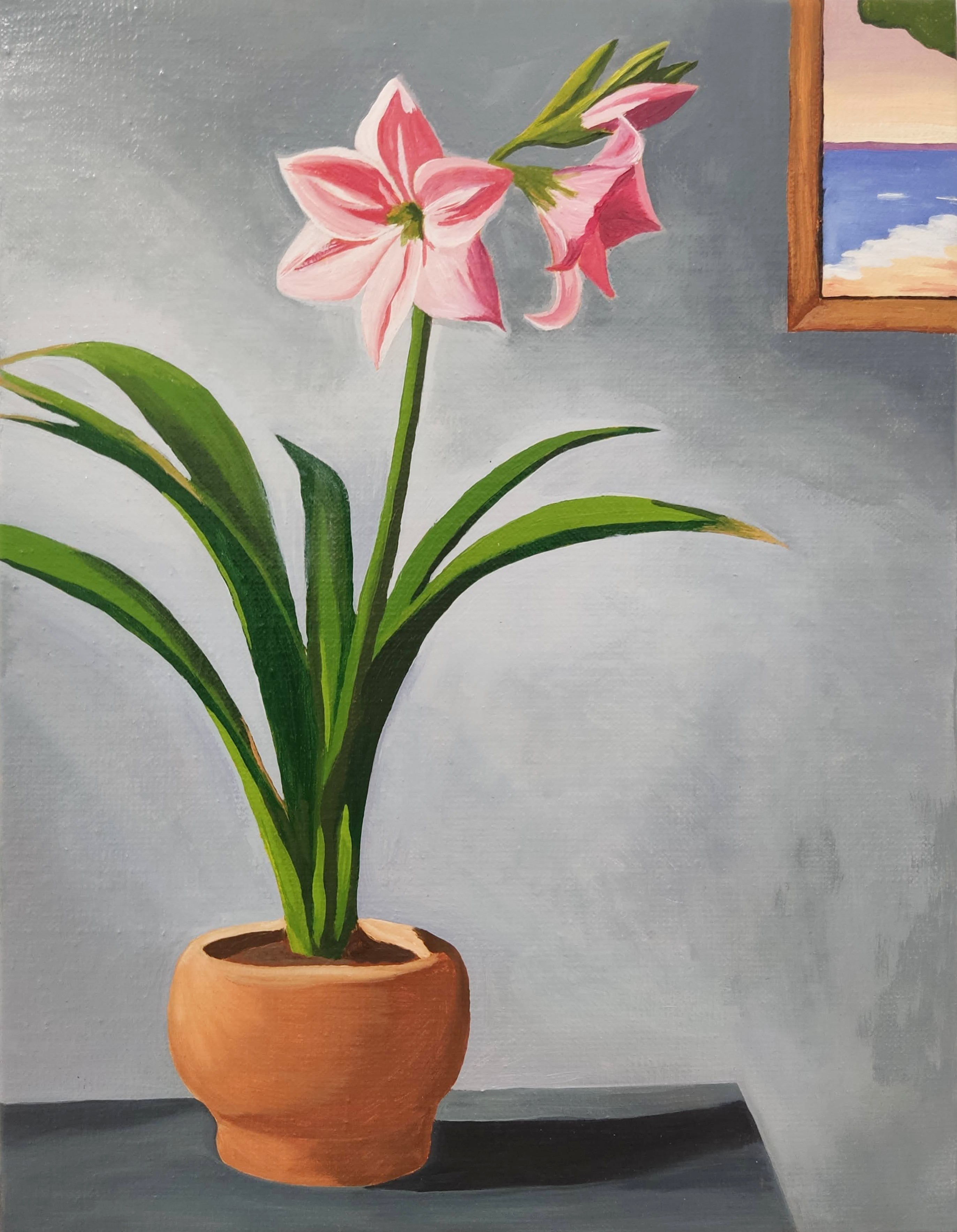 Gabriel Riesnert, Amaryllis Gabriel Riesnert, Amaryllis