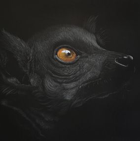 Gemälde, Lemur, Bernhard Meixner