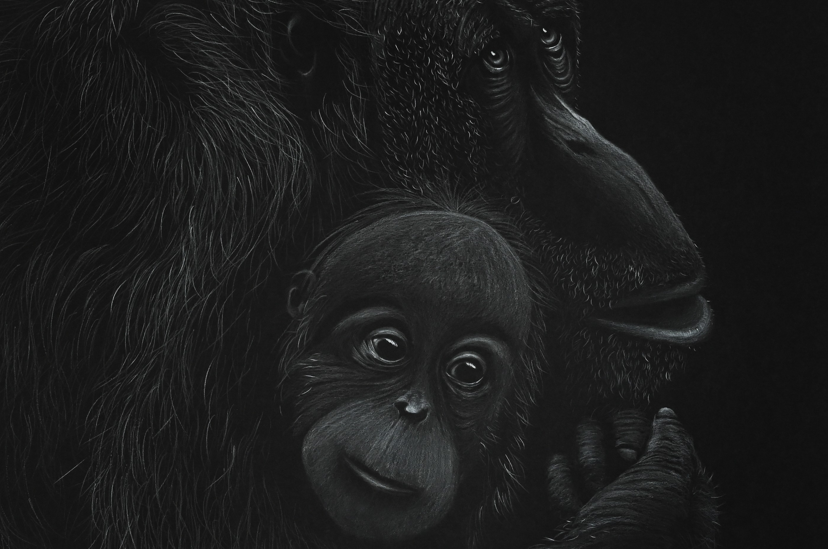 Bernhard Meixner, Orang-utan Bernhard Meixner, Orang-utan
