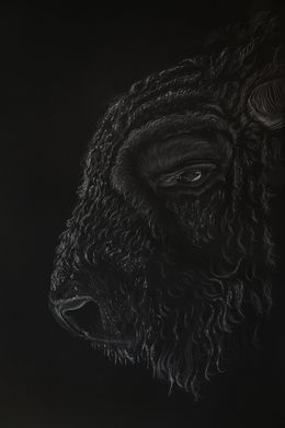 Peinture, Bison, Bernhard Meixner