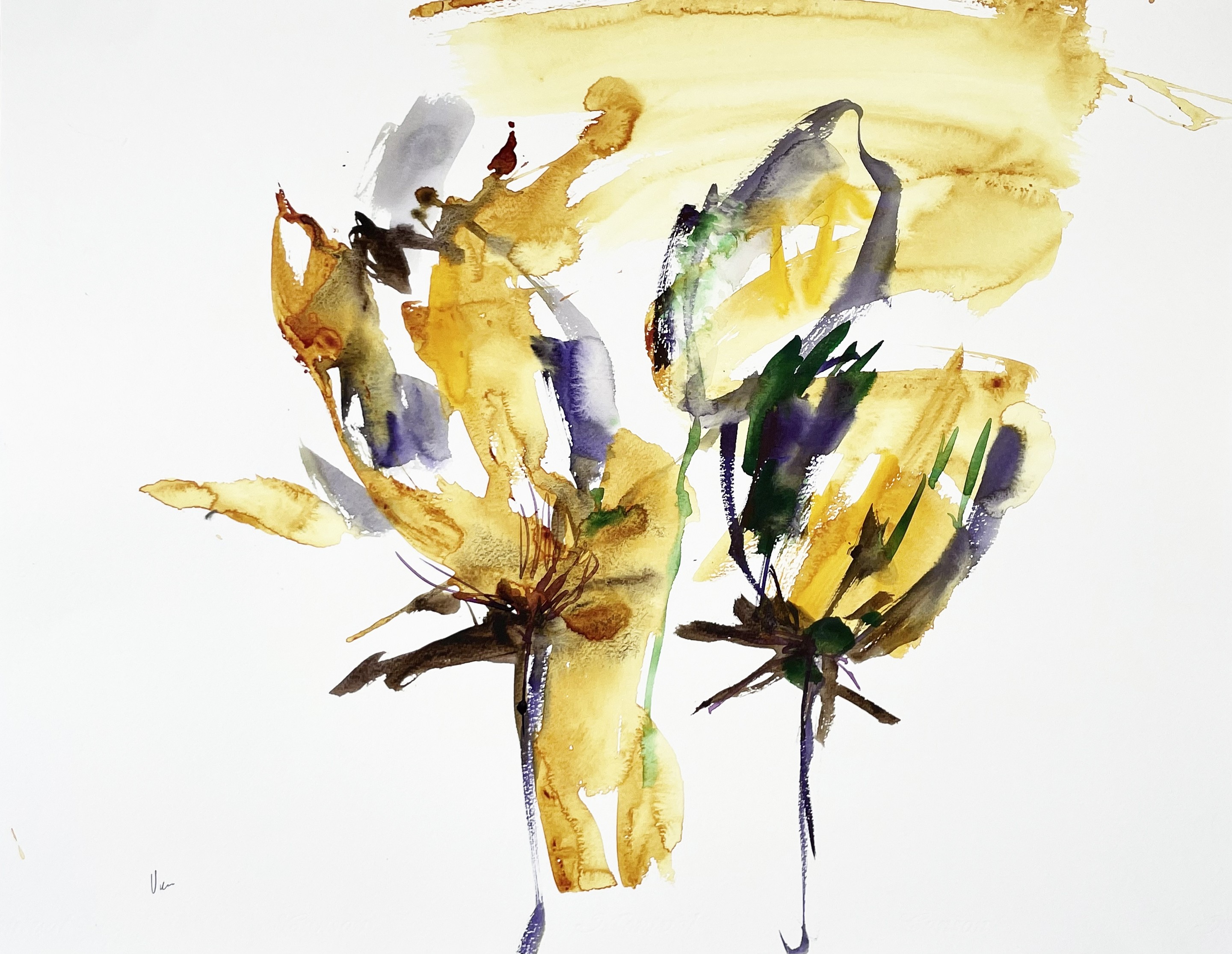 Doïna Vieru, Untitled Doïna Vieru, Untitled