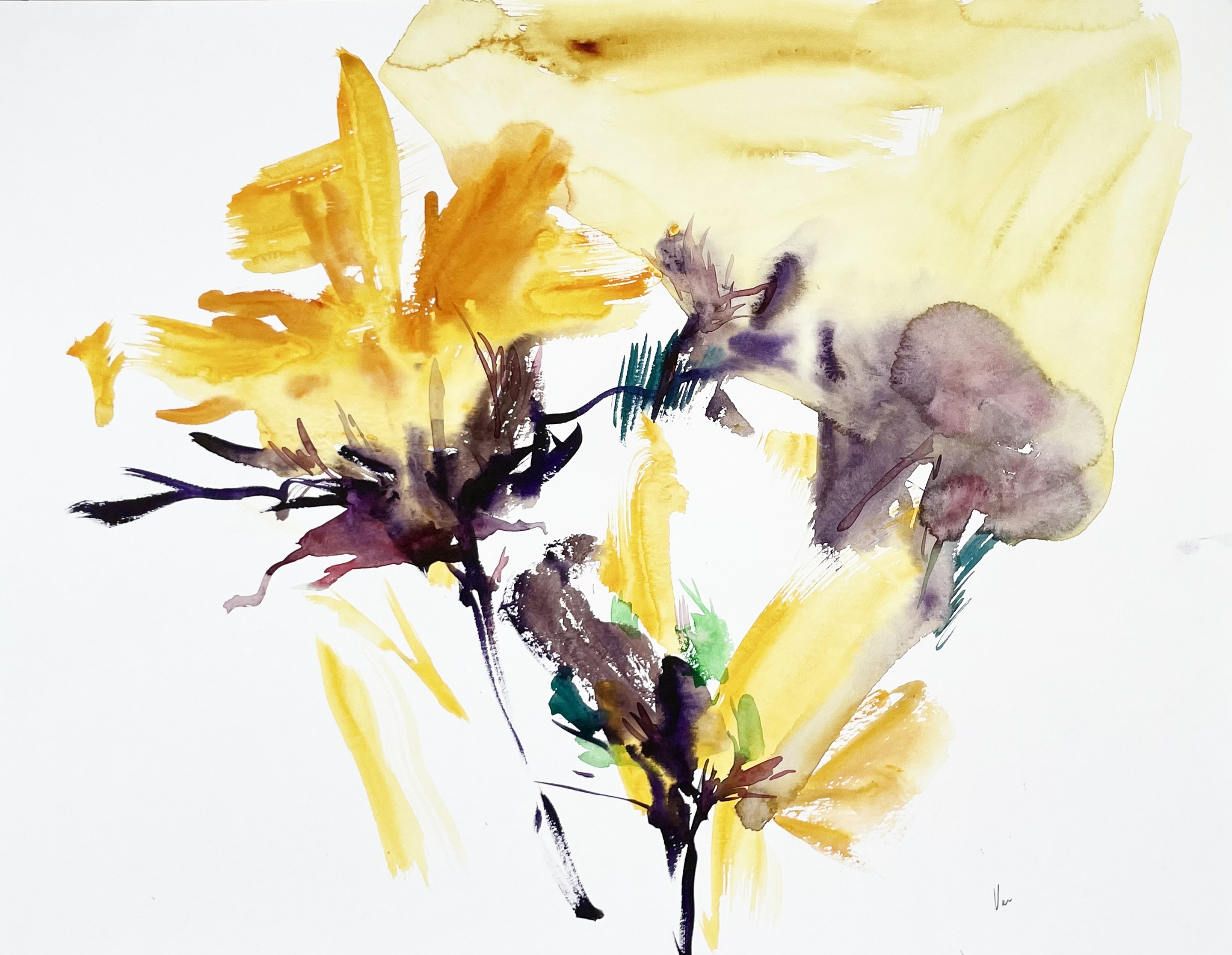 Doïna Vieru, Untitled Doïna Vieru, Untitled