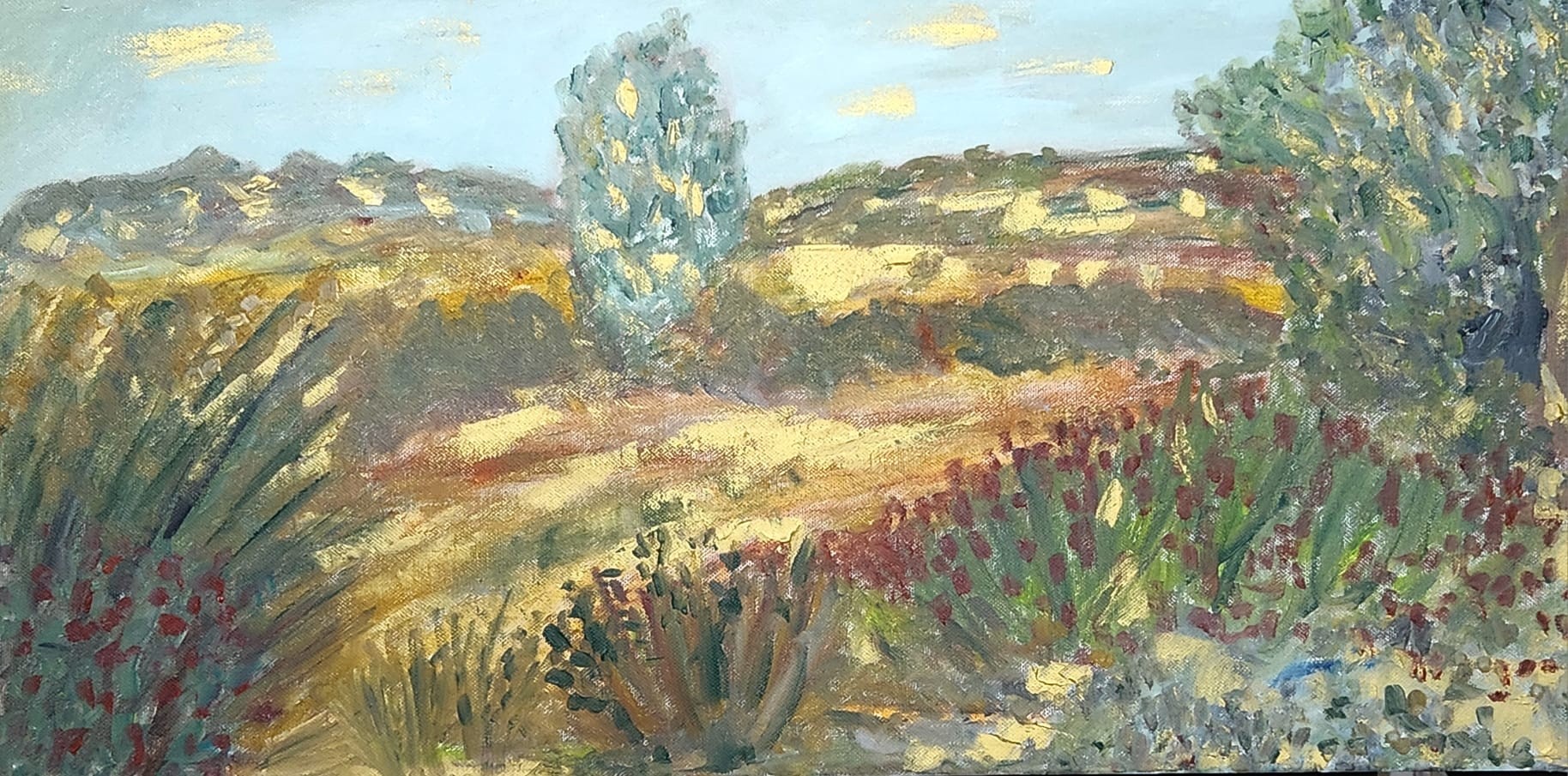 Dondi Schwartz, Landscape, Southwest of Israel Dondi Schwartz, Landscape, Southwest of Israel