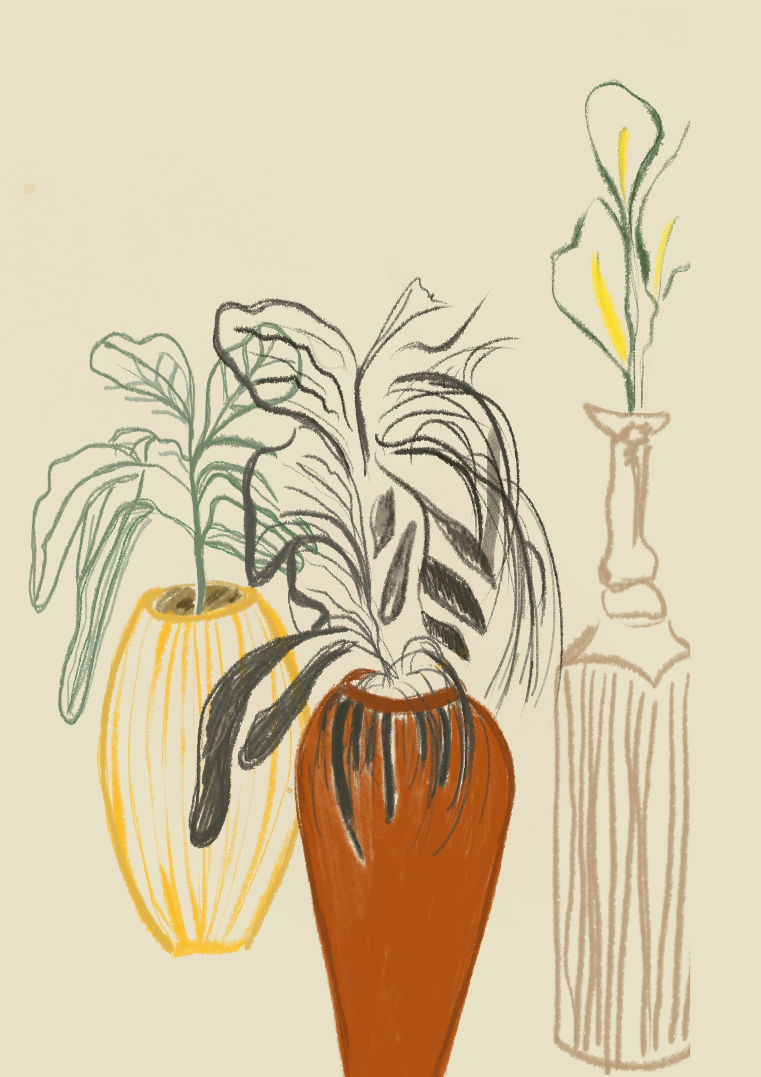 Shay Shaked, Les vases Shay Shaked, Les vases