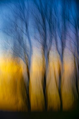 Print, Stille Wächter im Abendlicht, Christina Lourenço