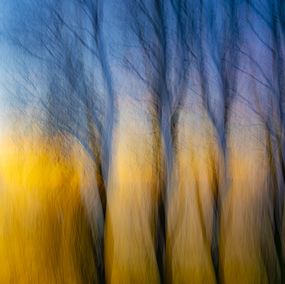 Print, Stille Wächter im Abendlicht, Christina Lourenço