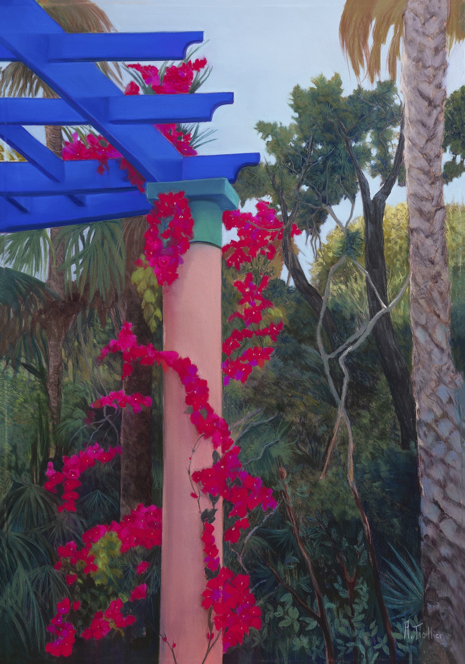 Agnès Tiollier, Bougainvillier IV Agnès Tiollier, Bougainvillier IV