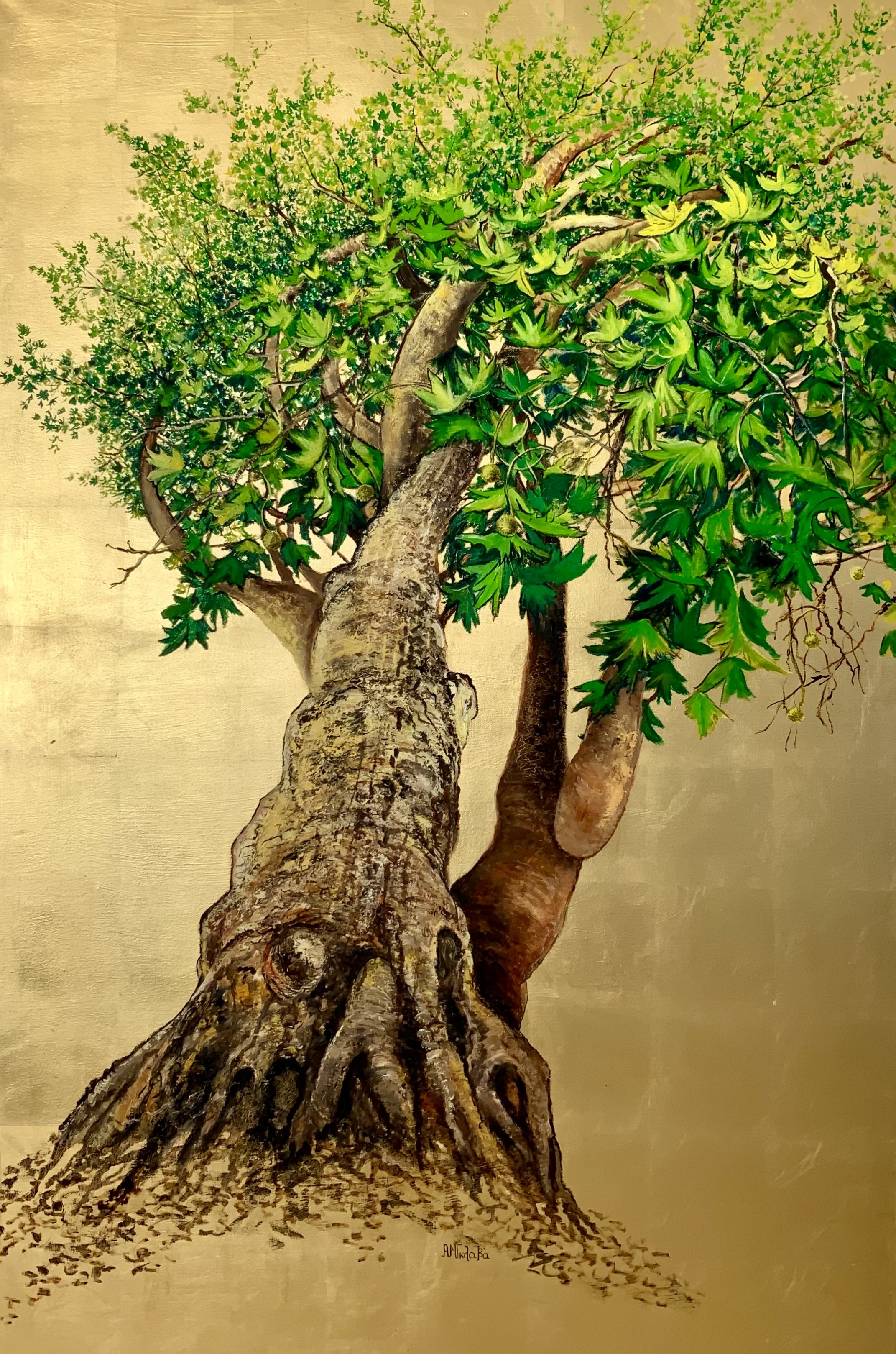 Anastasia Gklava, Platanus, the Tree of Joy and Healing Anastasia Gklava, Platanus, the Tree of Joy and Healing