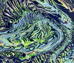 Peinture, Neon Pangea, Monica Tangen