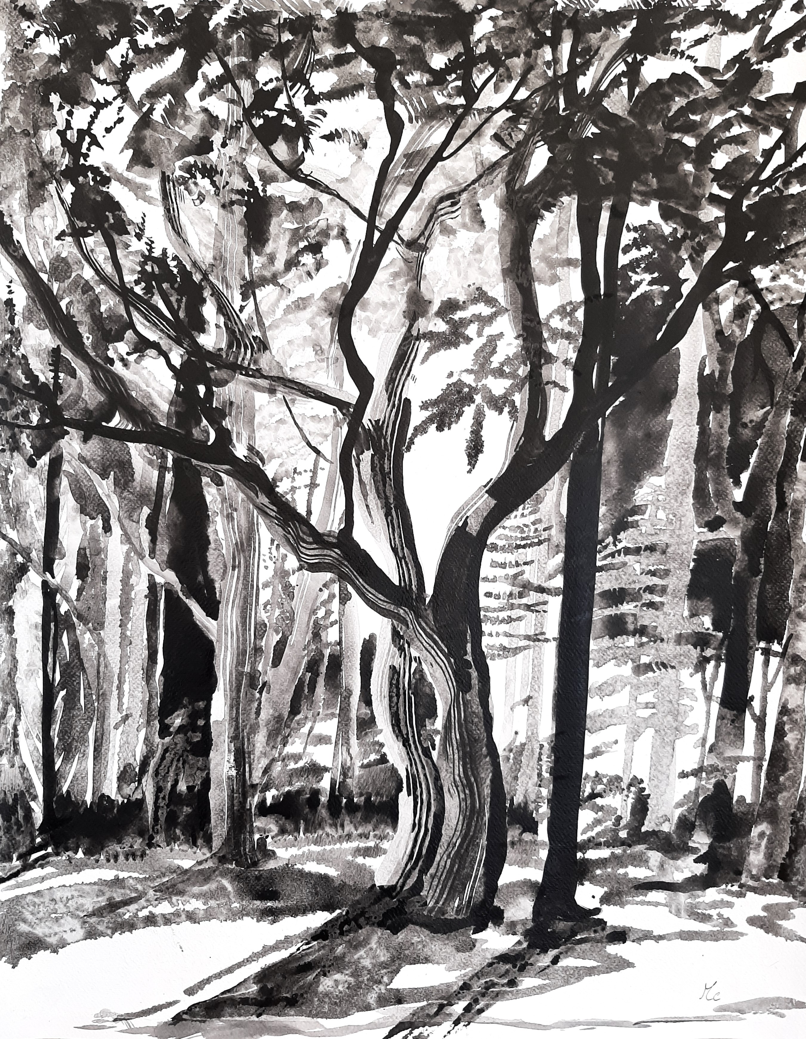 Marion Cicéron, Le gardien de la forêt Marion Cicéron, Le gardien de la forêt