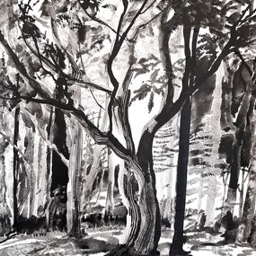 Zeichnungen, Le gardien de la forêt, Marion Cicéron