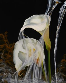 Peinture, Angel Falls, Deborah Bigeleisen
