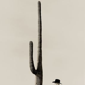Photography, Cowboy, Stuart Redler