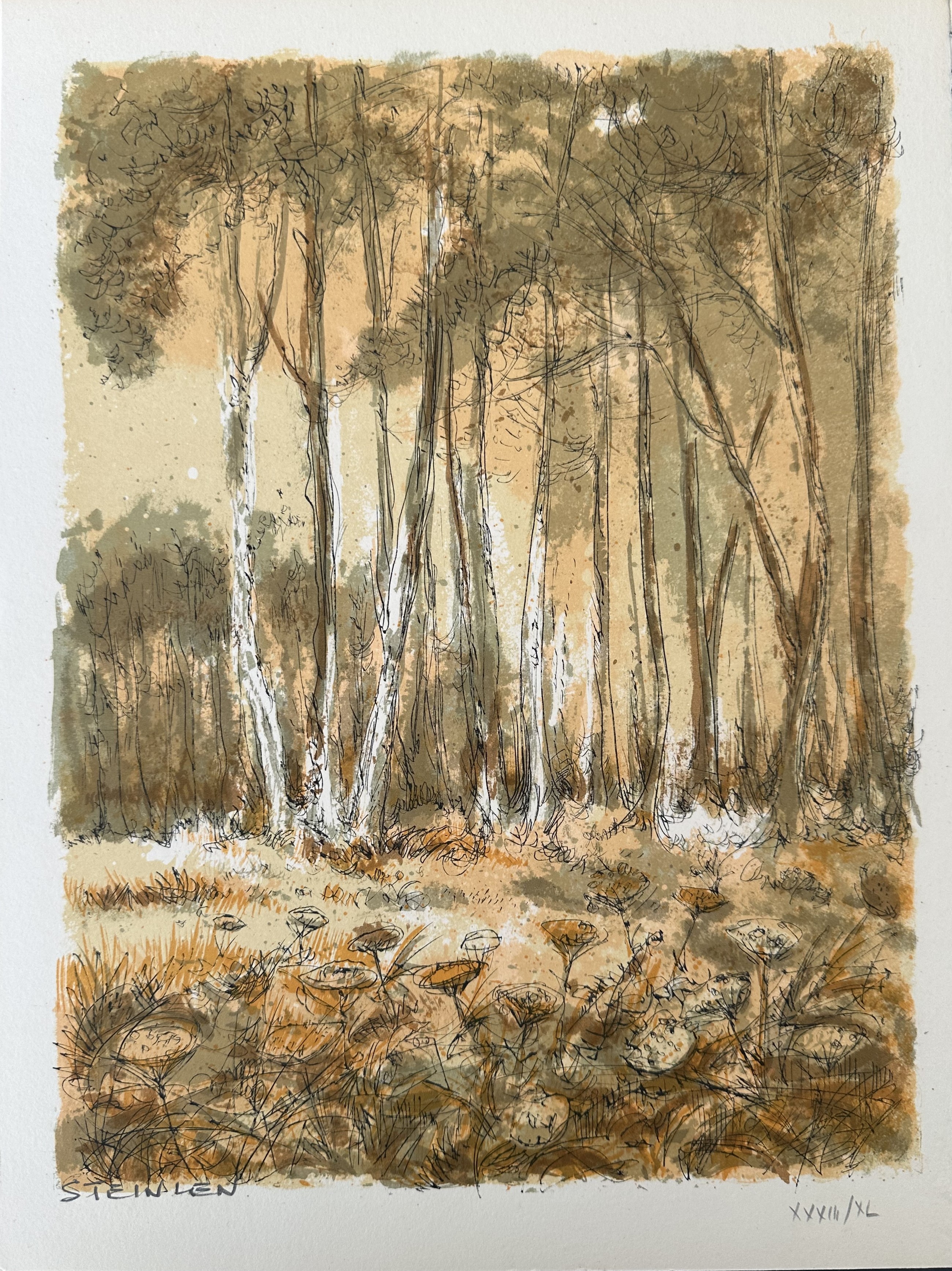 Aimé Daniel Steinlen, Forêt voisine (3) Aimé Daniel Steinlen, Forêt voisine (3)